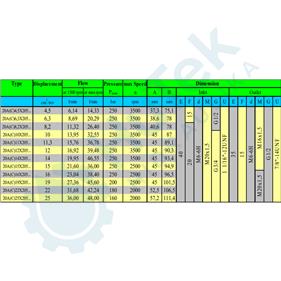 ZUPČASTA PUMPA DEUTZ 9T