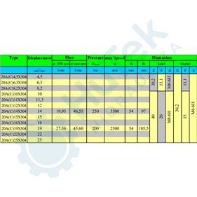 ZUPČASTA PUMPA 19 CCM RENAULT