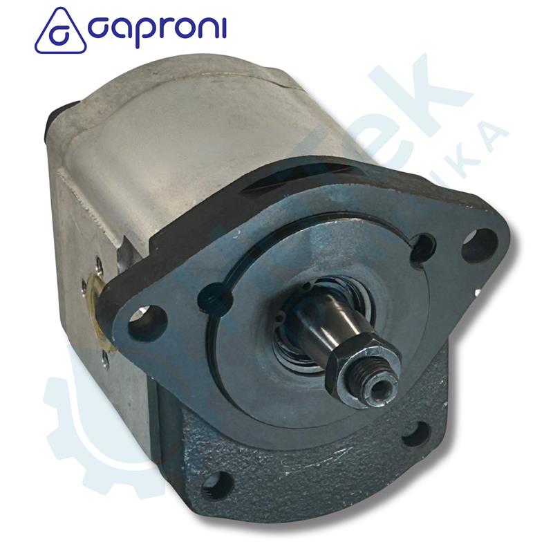 ZUPČASTA PUMPA 19 CCM RENAULT