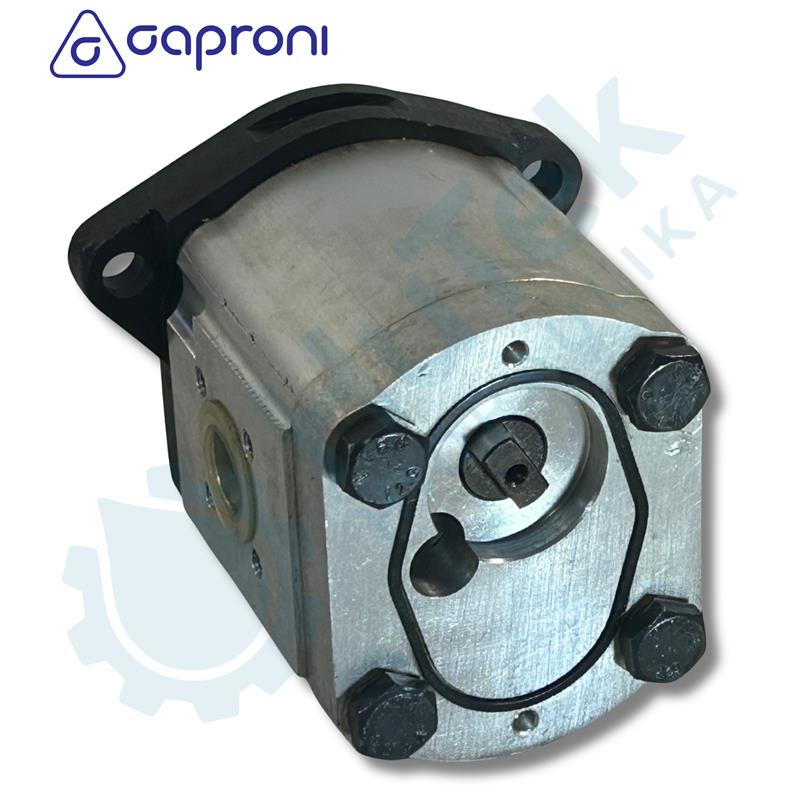 ZUPČASTA PUMPA 19 CCM RENAULT