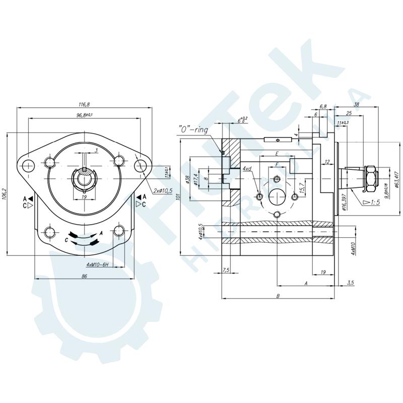 ZUPČASTA PUMPA 19 CCM RENAULT